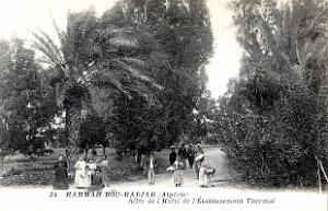 596- Hammam-Bou-Hadjar - Allee des Thermes